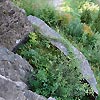 Deutschland - Baden W&uuml;rttemberg - Burg Husen