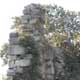 Ruine R&ouml;thelstein