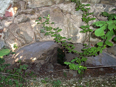 Ruine Zelking