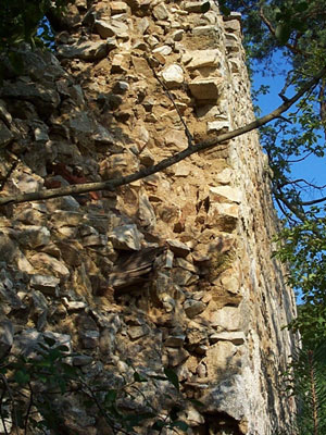 Ruine Zelking