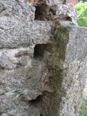 Ruine Klingenberg