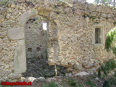 Burgruine Klingenberg / Nieder&ouml;sterreich