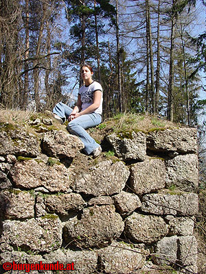 Burgruine Klingenberg / Nieder&ouml;sterreich