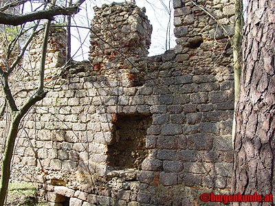 Burgruine Klingenberg / Nieder&ouml;sterreich