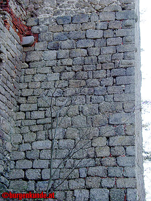 Burgruine Klingenberg / Nieder&ouml;sterreich