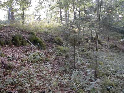Ruine M&ouml;stling