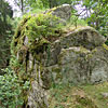 Ruine Rotenfels od. Alt-Waxenberg in Ober&ouml;sterreich