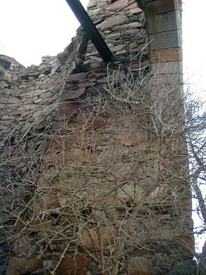 Burg P&uuml;rnstein