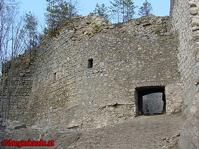 Burgruine Ruttenstein / Ober&ouml;sterreich
