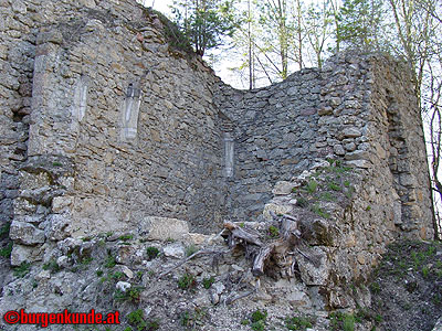 Burgruine Ruttenstein / Ober&ouml;sterreich