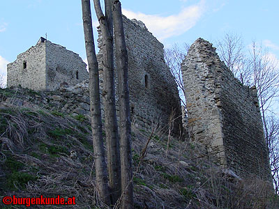 Burgruine Ruttenstein / Ober&ouml;sterreich