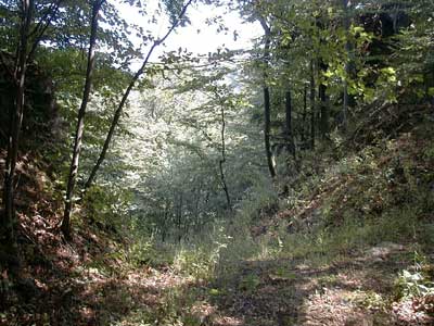 Ruine S&auml;bnich