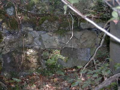 Ruine S&auml;bnich