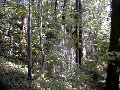 Ruine S&auml;bnich