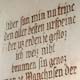 Goldbr&uuml;ndl