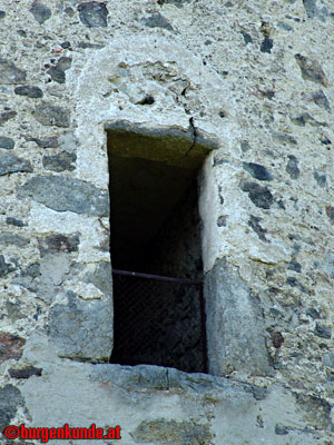 Ruine Waxenberg / Ober&ouml;sterreich