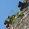 Ruine Waxenberg in Obe&ouml;sterreich