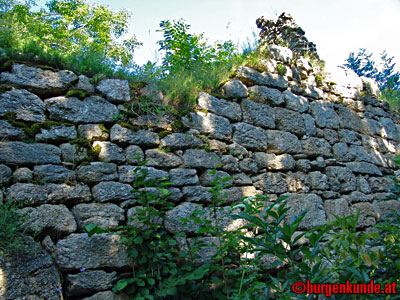 Ruine Waxenberg / Ober&ouml;sterreich