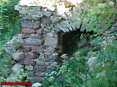 Ruine Waxenberg / Ober&ouml;sterreich