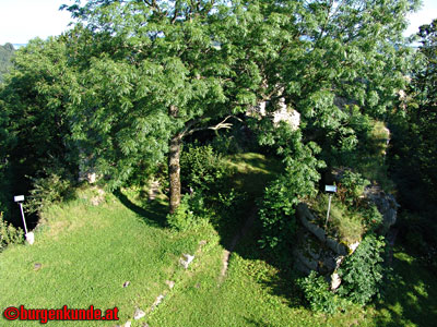 Ruine Waxenberg / Ober&ouml;sterreich