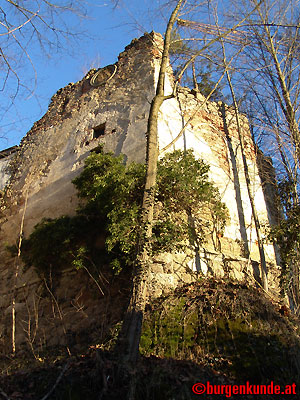 Ruine Windhaag / Ober&ouml;sterreich