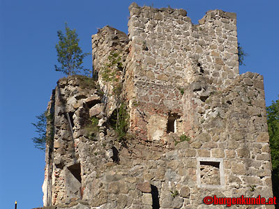 Ruine Windhaag / Ober&ouml;sterreich