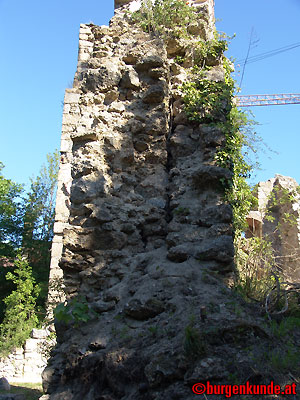 Ruine Windhaag / Ober&ouml;sterreich