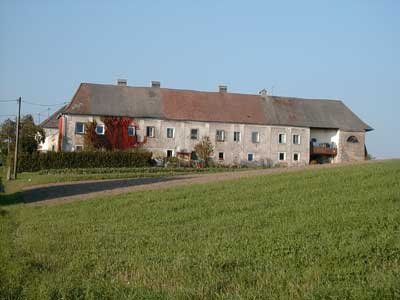 Schlo&szlig;ruine Zellhof