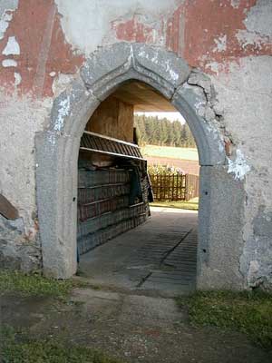 Schlo&szlig;ruine Zellhof